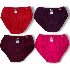 Essa Cazo Women's Panty Pack Of 04 [ Nari 1380]