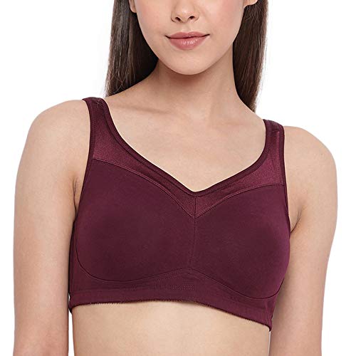 Buy Enamor Lightly Lined Non-Wired Full Coverage Super Support Bra - Pink  Champagne at Rs.1199 online