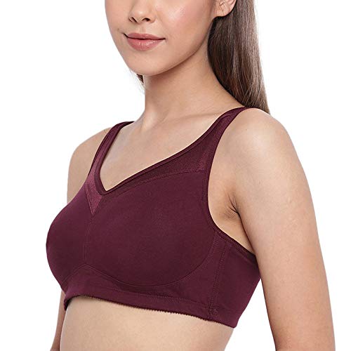 Buy Enamor Laminated Cups Non-Padded Wirefree Lace Bra at Rs.850